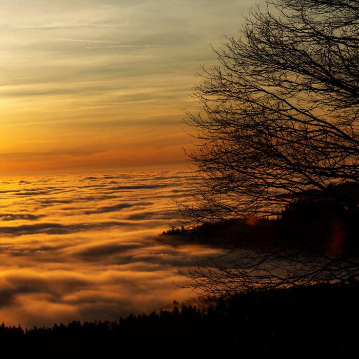 abzielen, Alltag, abheben, besondere, Atmosphäre, schaffen, Begriff, stammt, Englisch, bedeutet, Ereignis, Konzerte, Festivals, Theateraufführungen, Geschäftlich, Kongresse, Tagungen, Firmenevents, Sportlich, Sportveranstaltungen, Sozial, Feiern, Geburtstagsparty, Jubiläen, Marketing, Veranstaltungen, Markenbildung, Verkauf, Kundenbindung, dienen, geplant, definierten, Zielsetzung, Absicht, Programmfolge, thematisch, inhaltlich, Bindung, Zweckbestimmung, Zuverlässig, Partner, Organisation, Konferenz, Bällen, Galas, Hochzeiten, kreativ, Team, erfahren, Projektmanager, Erfahrung, Fortbildung, Experten, dental, faszinierend, Speaker, hochkarätig, Spezialisten, inspirierend, Gäste, traumhaft, Locations, anfragen, Präsentation, Kinoatmosphäre, erleben, vereinen, Leidenschaft, Kompetenz, verstehen, Erlebnis, Storie, Kreation, Menschen, Marke, markenbildung, Markenbindung, weltweit, Roadshows, Incentive, Markenkommunikation, bewegen, Straubing, Jonas, Sonnenstudio, Solarium, Sonne, Braun, Jonas Feilmeier, Mitterfels