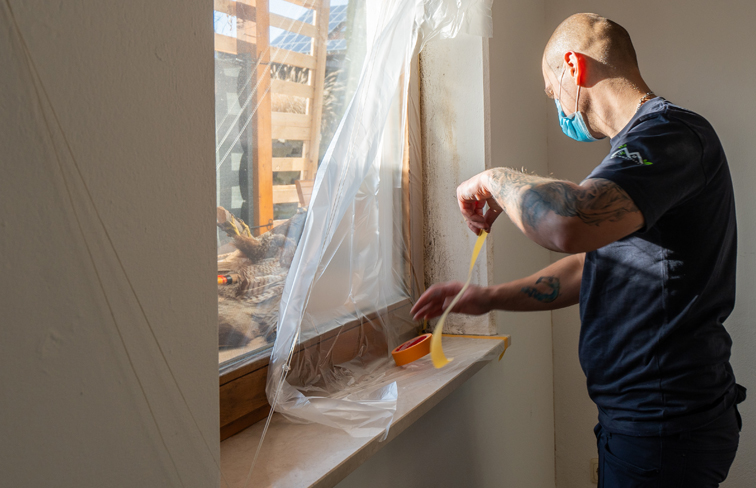 Gipskartonplatten, Tragfähig, Silikatfarbenanstrich, Metall, Holz, Lack, beschichtet, Wandfarbe, Basis, Bindemittel, Silikatfarbe, Kaliwasserglas, Wasserglasfarbe, wohngesund, baubiologisch, Baubiologie, Alkalität, Vermehrung, Wachstum, Pilze, Bakterien, natürlich, Art, behindert, robust, Witterungseinfluss, UV-Strahlung, nass-in nass, Außenbereich, Fassadenrenovierung, Verarbeitbarkeit, Stark, alkalisch, umweltverträglich, geruchsarm, Konservierungsstoffe, Hoch, atmungsaktiv, Leicht, verarbeiten, Umweltschutz, entsprechen, Ressourcenschonung, Sensibilisierend, Kurzhaarroller, Steckbügel, Werkzeug, Streichzubehör, effizient, Garantie, ergonomisch, Lackroller, gleichmäßig, auftragen, Lackierwalze, Schaumstoff, Wasserlacke, Streifenbildung, Rollspuren, Farbverlauf, Möbel, Antischimmel-Spray, Neubildung, Vorbeugung, Putzfassade, Fassade, Renovieren, Kreidefarbe, Voraussetzung, Eigenregie, Maske, Schimmelbekämpfung, effektiv, feststellen, Handeln, notwendig, Artikel, Schimmelentfernung, Schadstoffsanierer